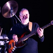 Concerts del Pinar