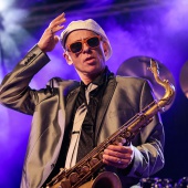 Concerts del Pinar