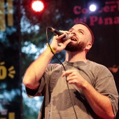 Concerts del Pinar