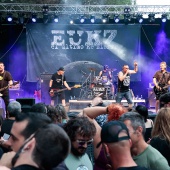 Concerts del Pinar