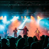 Concerts del Pinar