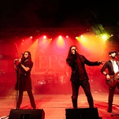 Concerts del Pinar