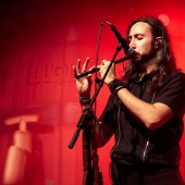 Concerts del Pinar