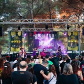 Concerts del Pinar