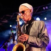 Concerts del Pinar