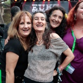 Concerts del Pinar