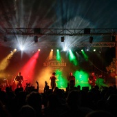 Concerts del Pinar