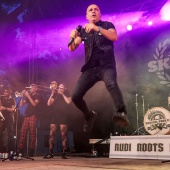 Concerts del Pinar