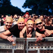 Concerts del Pinar