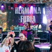Concerts del Pinar