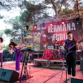 Concerts del Pinar