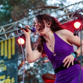 Concerts del Pinar