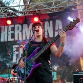 Concerts del Pinar