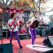Concerts del Pinar