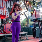 Concerts del Pinar