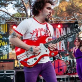 Concerts del Pinar