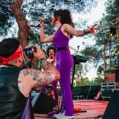 Concerts del Pinar