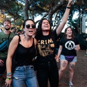 Concerts del Pinar