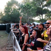 Concerts del Pinar