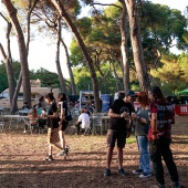 Concerts del Pinar