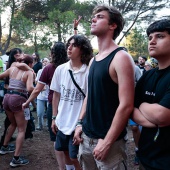 Concerts del Pinar