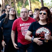 Concerts del Pinar