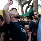 Concerts del Pinar