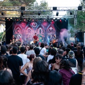 Concerts del Pinar