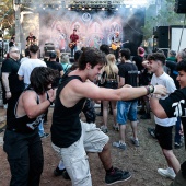 Concerts del Pinar