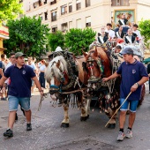 Cavalcada de la Mar