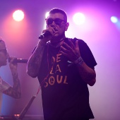 Rototom Sunsplash