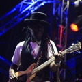 FIB 2011