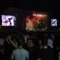 FIB 2011