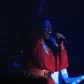 FIB 2011