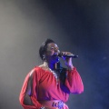 FIB 2011