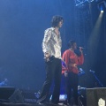 FIB 2011