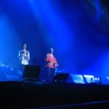 FIB 2011