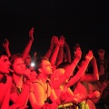 FIB 2011