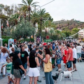 Benicàssim Belle Époque