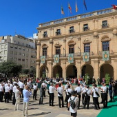 Medalla de Oro de la ciudad y Corbatines de Honor