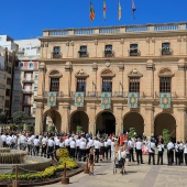 Medalla de Oro de la ciudad y Corbatines de Honor