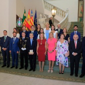 Medalla de Oro de la ciudad y Corbatines de Honor