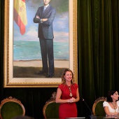 Medalla de Oro de la ciudad y Corbatines de Honor