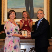 Medalla de Oro de la ciudad y Corbatines de Honor
