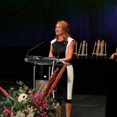 Premios ´Ciutat de Castelló´
