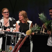 Premios ´Ciutat de Castelló´