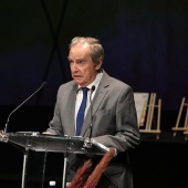 Premios ´Ciutat de Castelló´