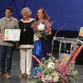 Premios ´Ciutat de Castelló´