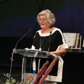 Premios ´Ciutat de Castelló´