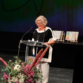 Premios ´Ciutat de Castelló´